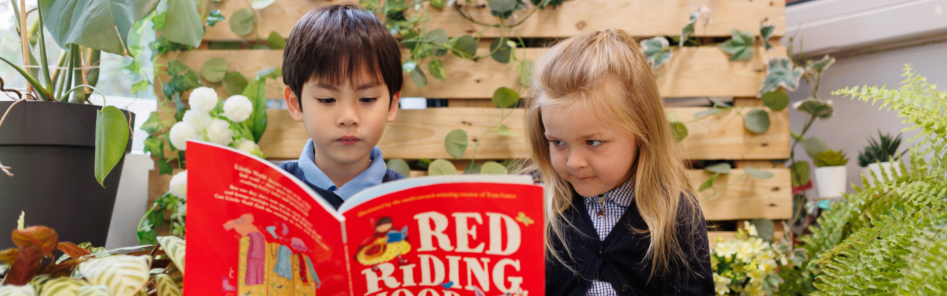 The Rose Learning Trust Quality Assurance Transformed The Education